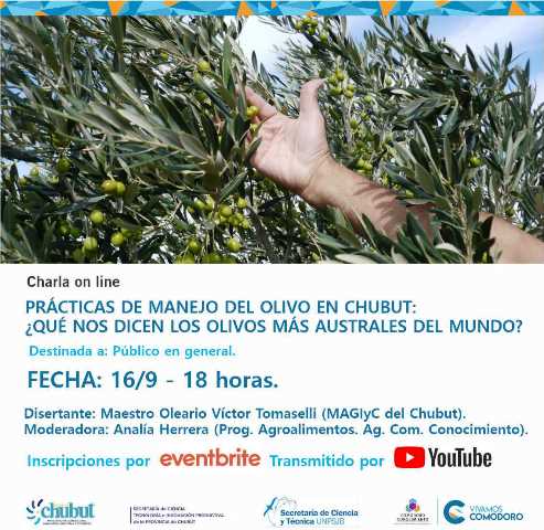 CURSO: Prácticas de manejo del olivo en Chubut