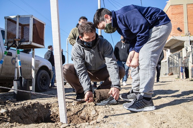 Se presentó el Plan de Gestión Integral de Arbolado Urbano a asociaciones vecinales