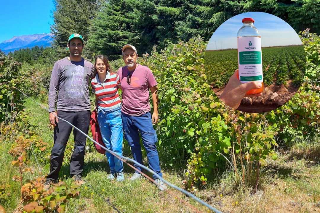 La ciencia, la investigación y la innovación como la clave en el desarrollo de bioinsumos para la industria agrícola